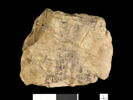 ostracon, image 2/2