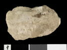 ostracon, image 2/2