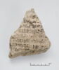 ostracon, image 1/2