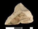 ostracon, image 2/3
