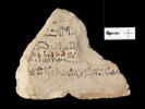 ostracon, image 1/3
