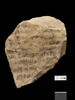 ostracon, image 1/2