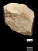 ostracon, image 2/2