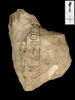 ostracon, image 1/3