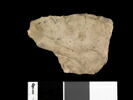 ostracon, image 2/3