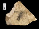 ostracon, image 2/2