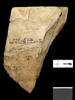 ostracon, image 1/2