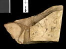 ostracon, image 2/2
