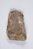 ostracon, image 3/3