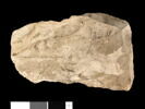 ostracon, image 2/3
