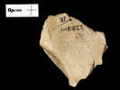 ostracon, image 2/2