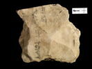 ostracon, image 4/5