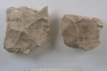 ostracon, image 1/5