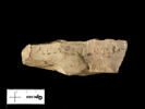 ostracon, image 1/2