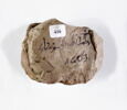 ostracon, image 2/2