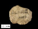 ostracon, image 1/2