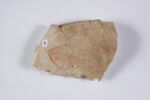 ostracon figuré, image 2/2