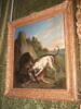 Sanglier arrêté par quatre chiens, image 2/2