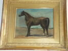 Cheval arabe de profil à gauche, image 3/5