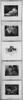 Nymphe, ou Source, image 6/8