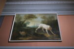 Blanche, chienne de la meute de Louis XV, image 3/3