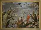 Concert d'oiseaux, image 1/7