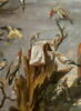 Concert d'oiseaux, image 3/7
