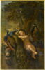 Un Amour et deux paons, image 1/2