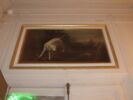Chien épagneul blanc et perroquet, image 2/2