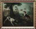 Chien chassant, image 6/6