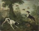 Chien chassant, image 1/6