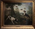 Chien chassant, image 2/6