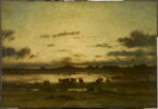 Soleil couchant sur un marais, image 1/2