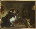 Chevaux arabes se battant dans une écurie, image 1/2