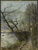 Le bois des Roches, Veneux-Nadon., image 1/2