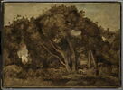 Bûcherons dans une clairière., image 1/2