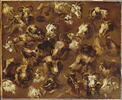 Têtes de moutons, brebis, béliers, chiens et chèvres, image 2/3