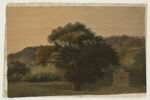 À Rocca di Papa: le grand arbre, image 1/2