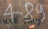 Portrait d'homme, image 5/13