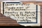 Le Dessert de gaufrettes, image 3/6