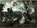 Combat de coqs et de poules, image 2/2