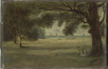 Paysage. Bord de mer avec arbres, image 15/16