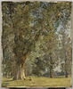 Vue du Prater à Vienne, avec arbre à gauche, image 1/2