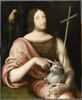 Portrait de François Ier en saint Jean Baptiste, image 2/3