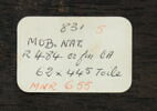 Portrait d'homme au chien sur fond de mer, image 9/11