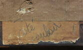 Marine, image 8/20