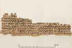 papyrus documentaire, image 1/4