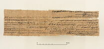 papyrus documentaire, image 1/4