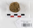 pelote, image 1/2