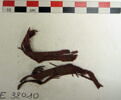 bande décorative d'habillement ; fragments, image 2/2